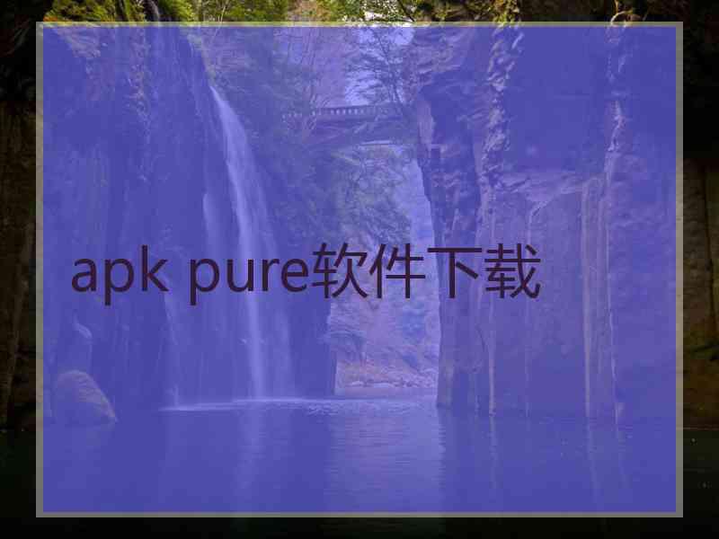 apk pure软件下载