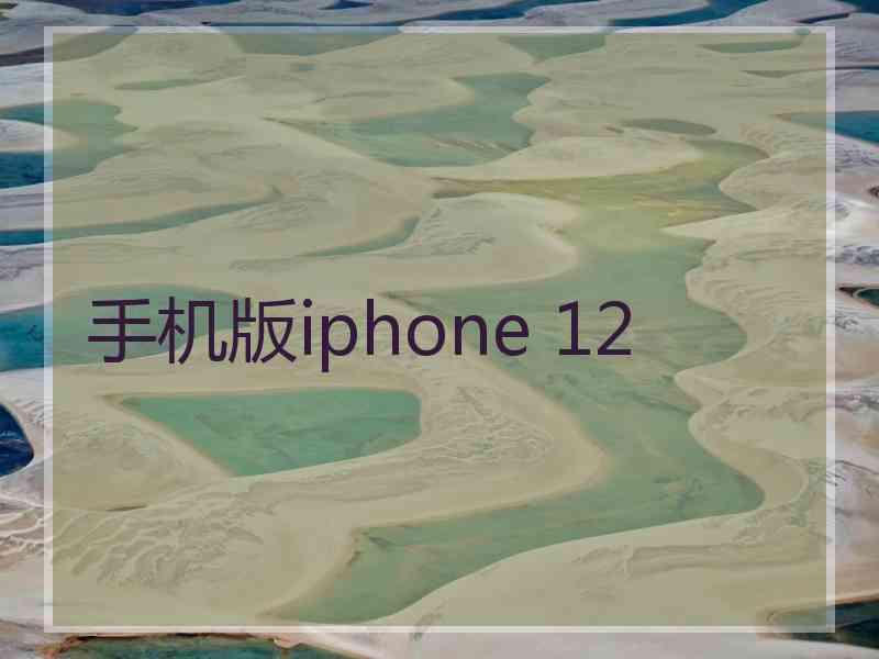 手机版iphone 12