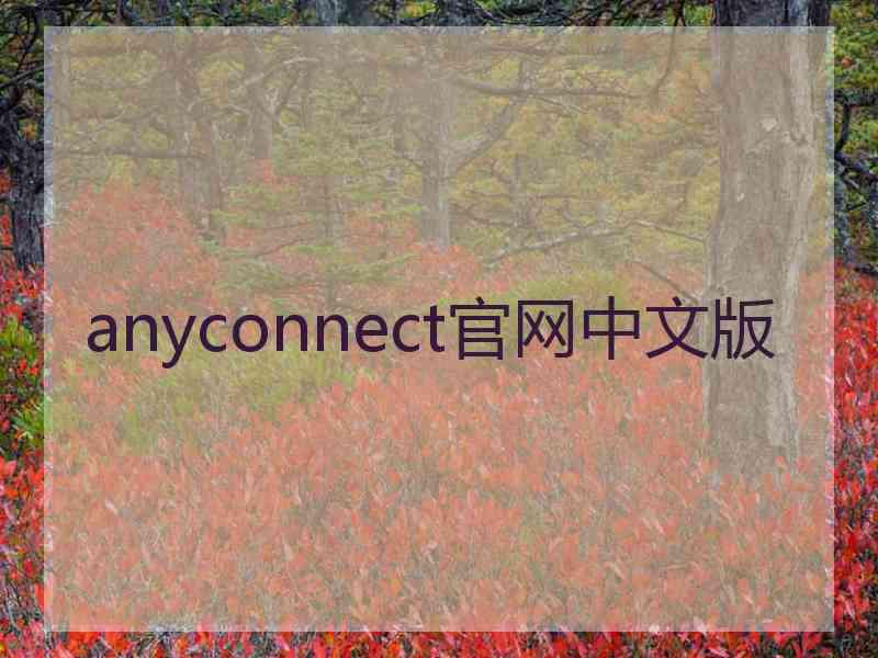 anyconnect官网中文版