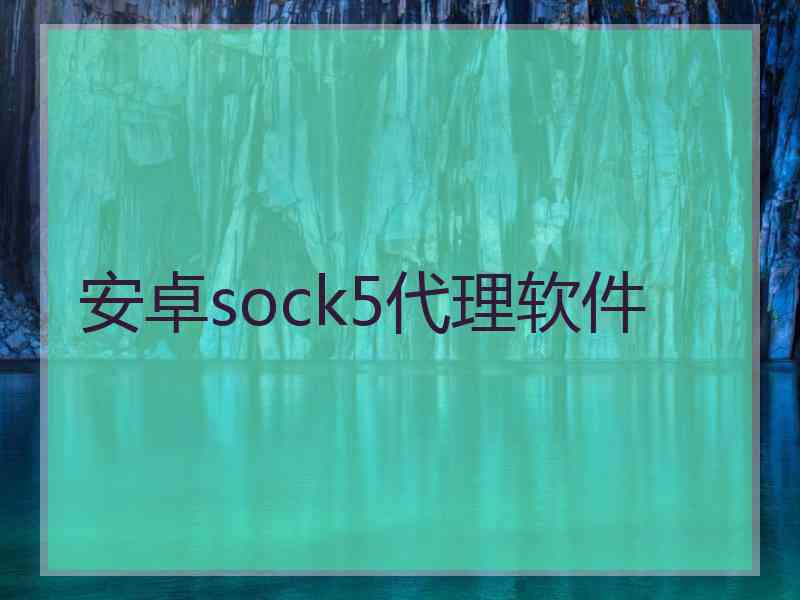 安卓sock5代理软件