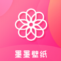 ss客户端下载 apk