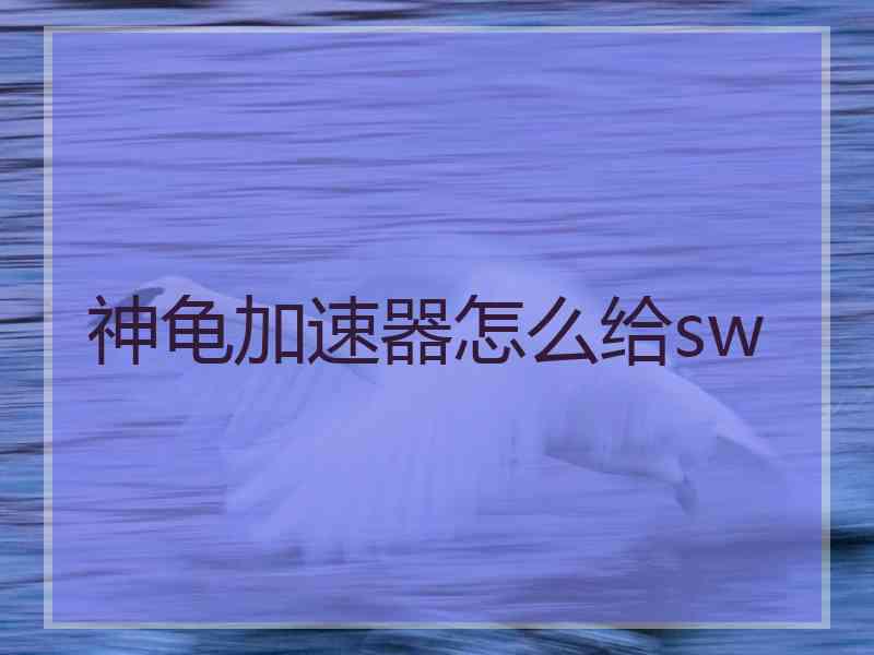 神龟加速器怎么给sw