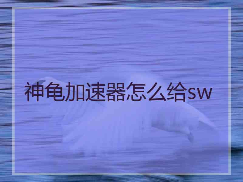 神龟加速器怎么给sw