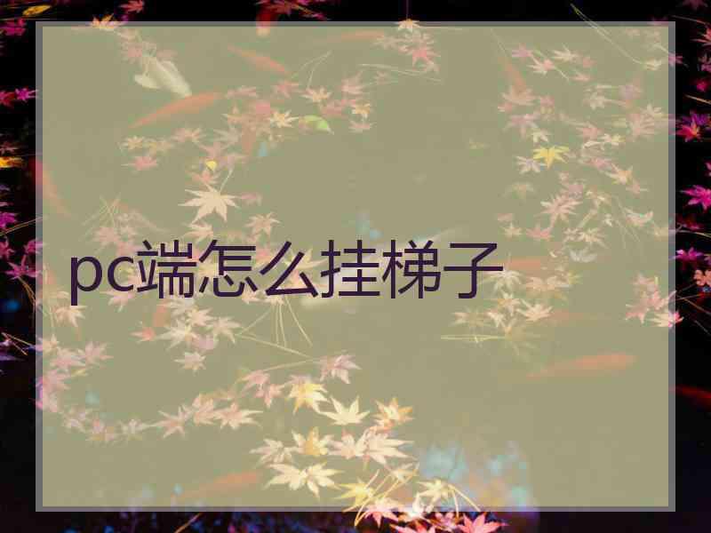 pc端怎么挂梯子