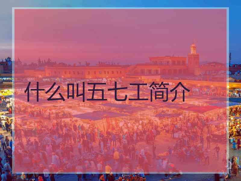 什么叫五七工简介