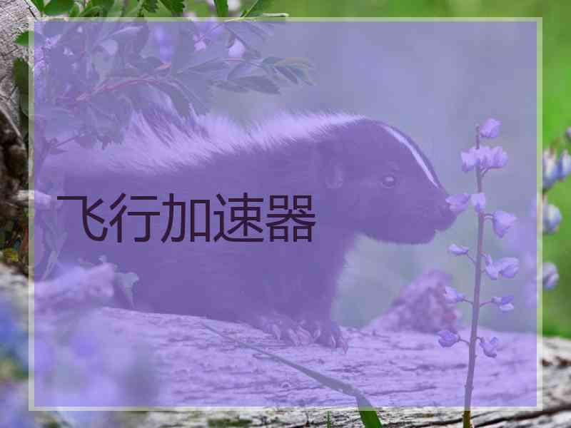 飞行加速器