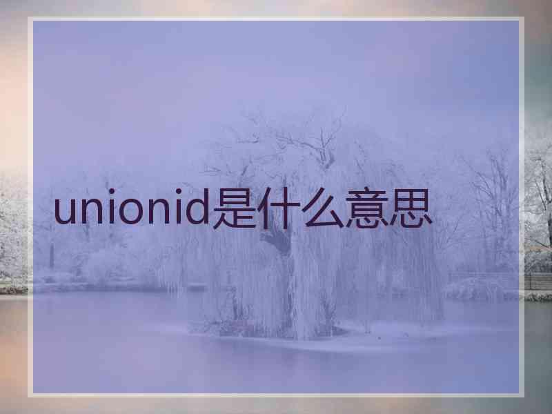 unionid是什么意思