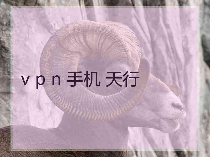 v p n 手机 天行