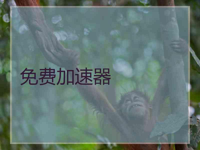 免费加速器