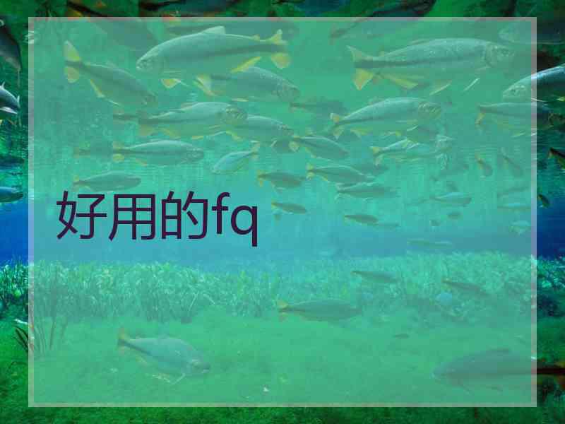 好用的fq