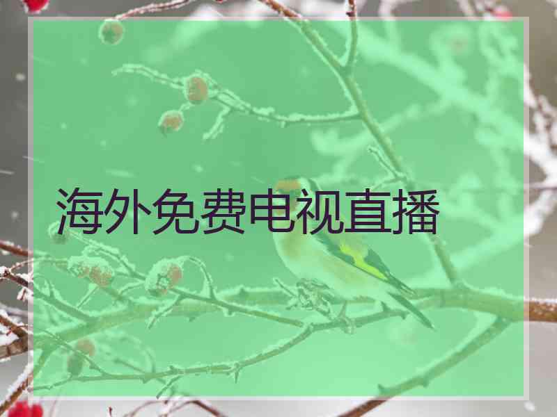 海外免费电视直播