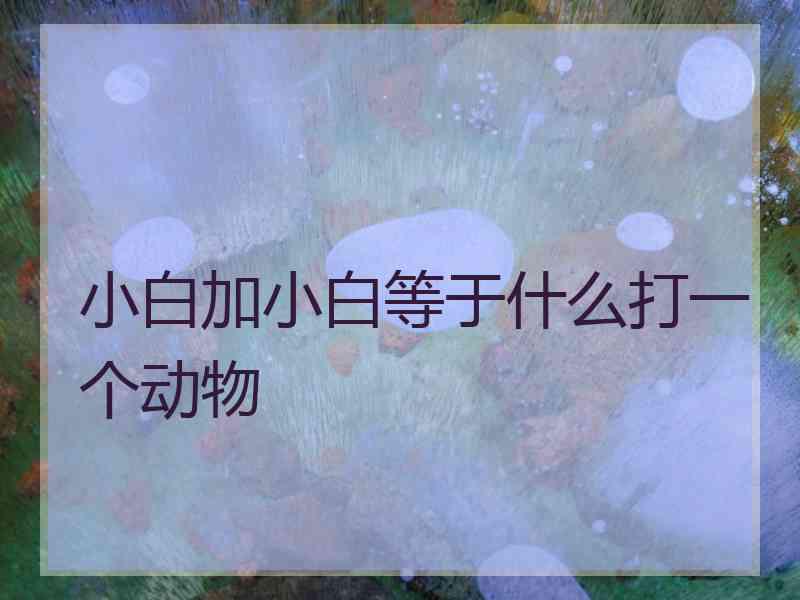 小白加小白等于什么打一个动物