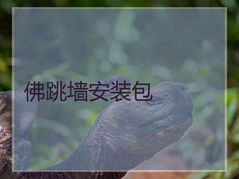 佛跳墙安装包