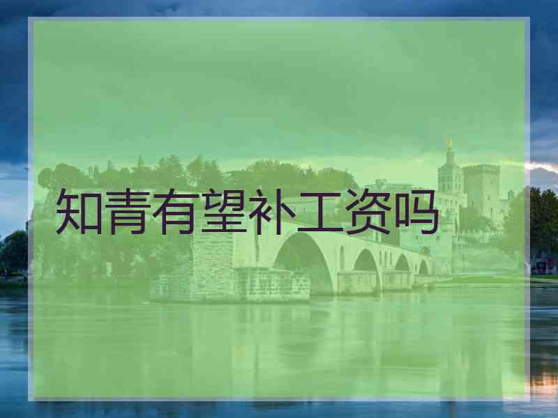 知青有望补工资吗
