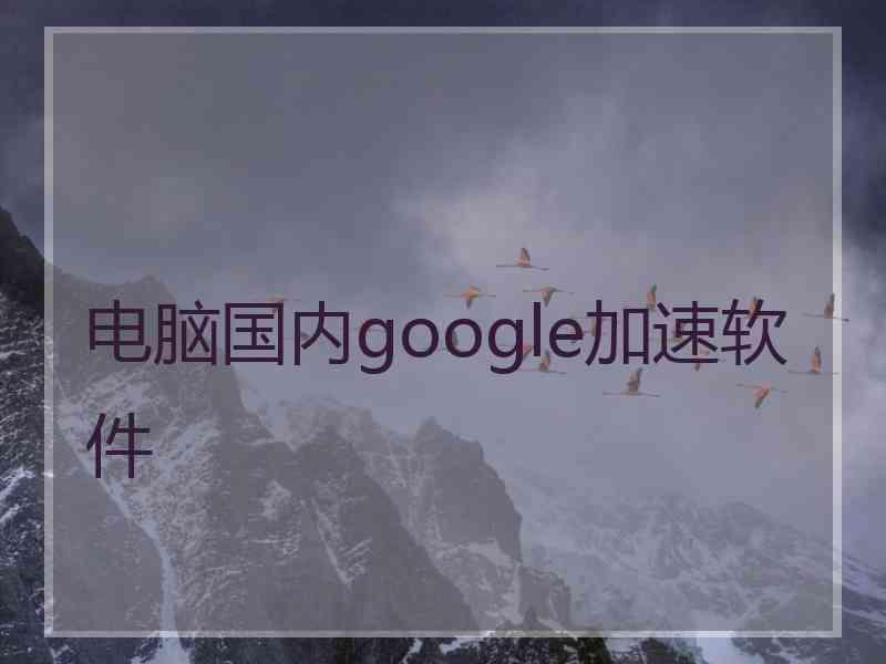 电脑国内google加速软件