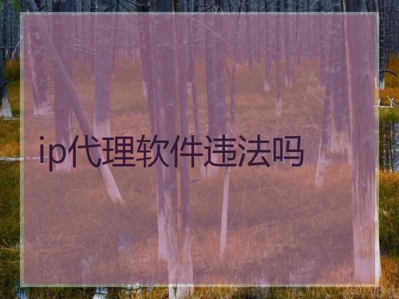 ip代理软件违法吗