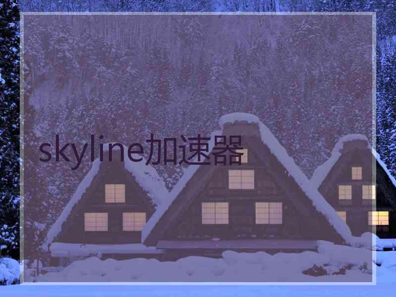 skyline加速器
