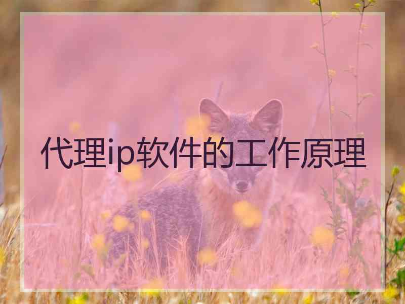代理ip软件的工作原理