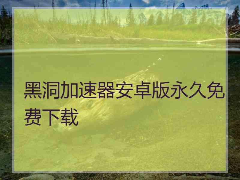 黑洞加速器安卓版永久免费下载