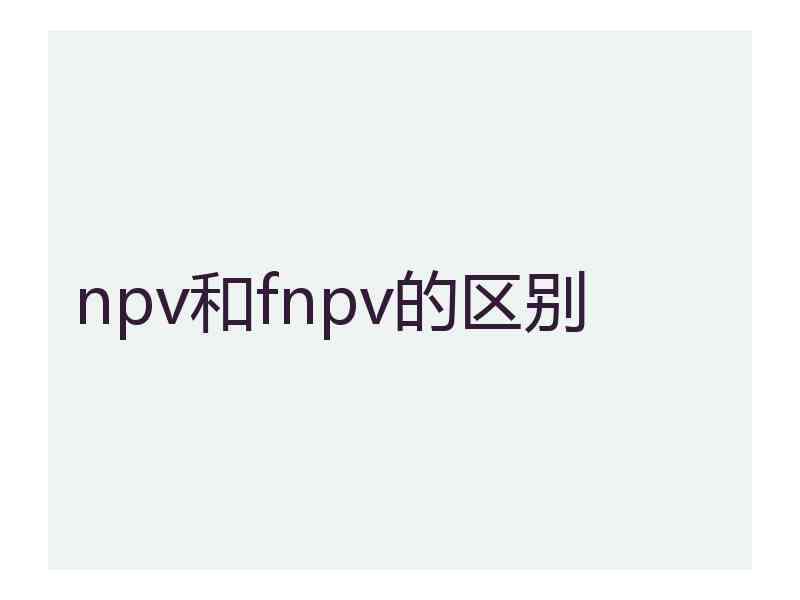 npv和fnpv的区别