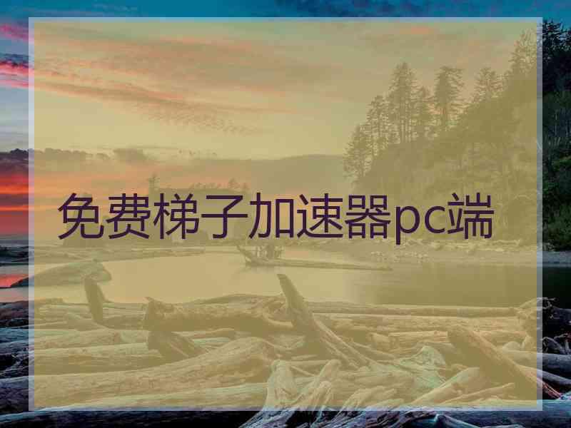 免费梯子加速器pc端
