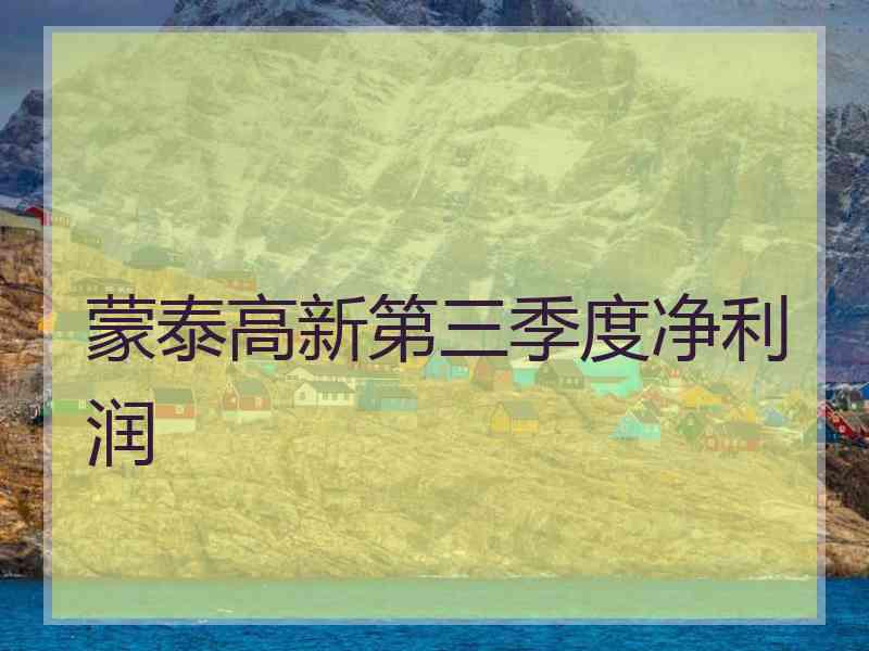 蒙泰高新第三季度净利润