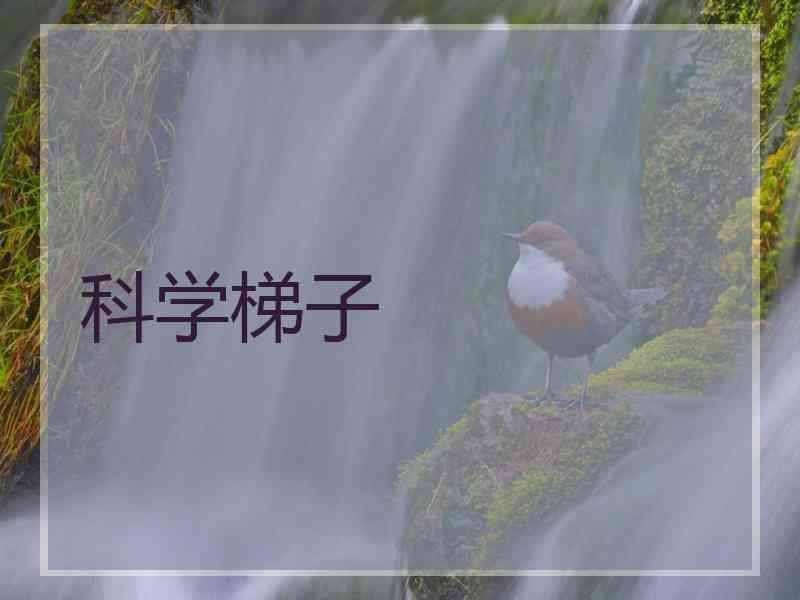 科学梯子