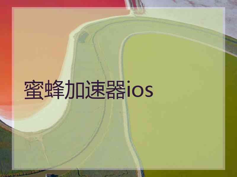 蜜蜂加速器ios