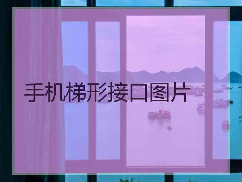 手机梯形接口图片
