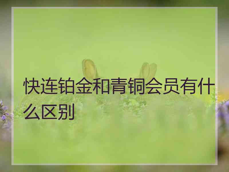 快连铂金和青铜会员有什么区别