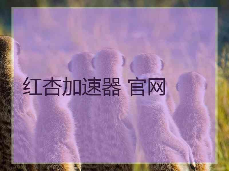 红杏加速器 官网