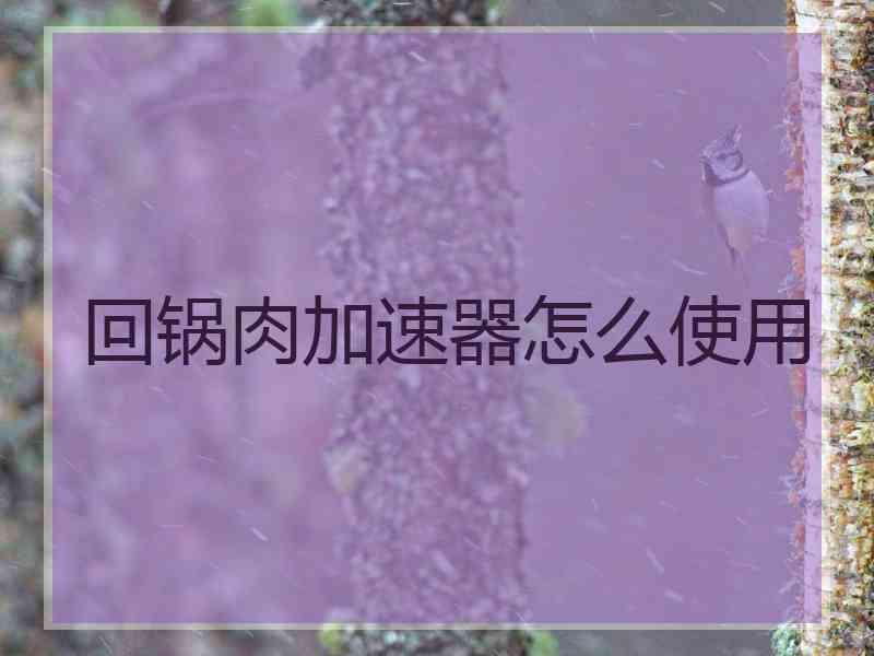 回锅肉加速器怎么使用