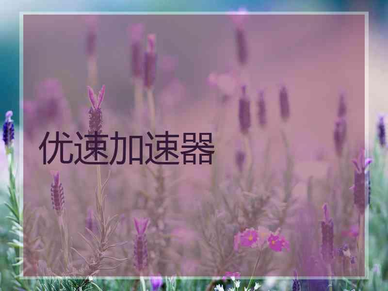 优速加速器