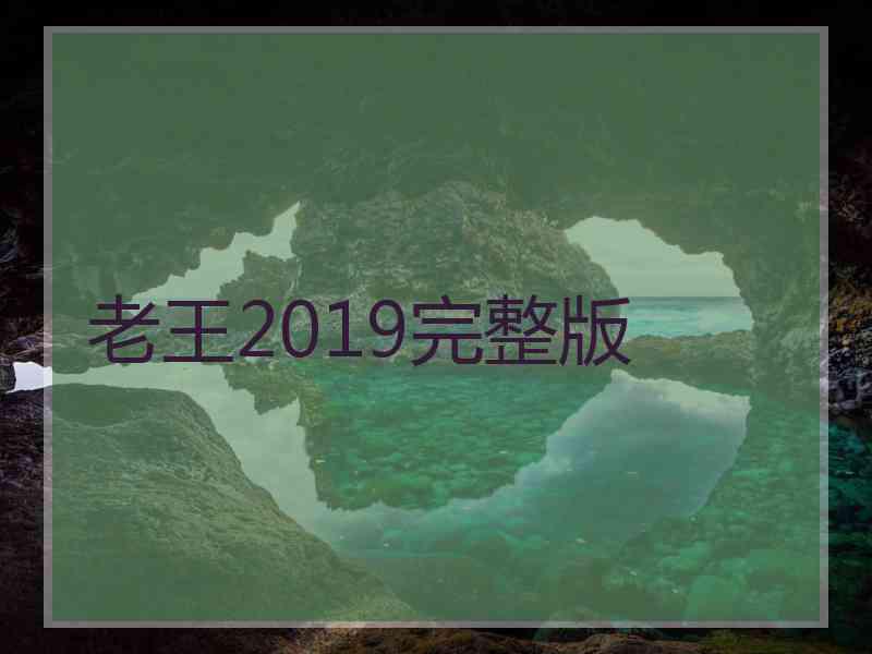老王2019完整版