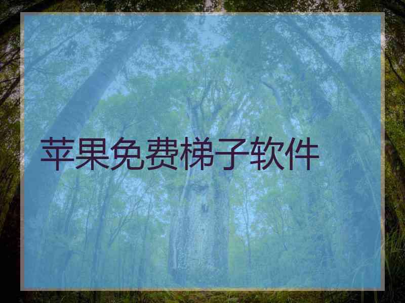 苹果免费梯子软件