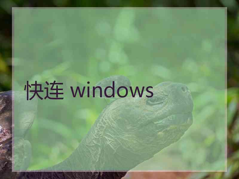 快连 windows