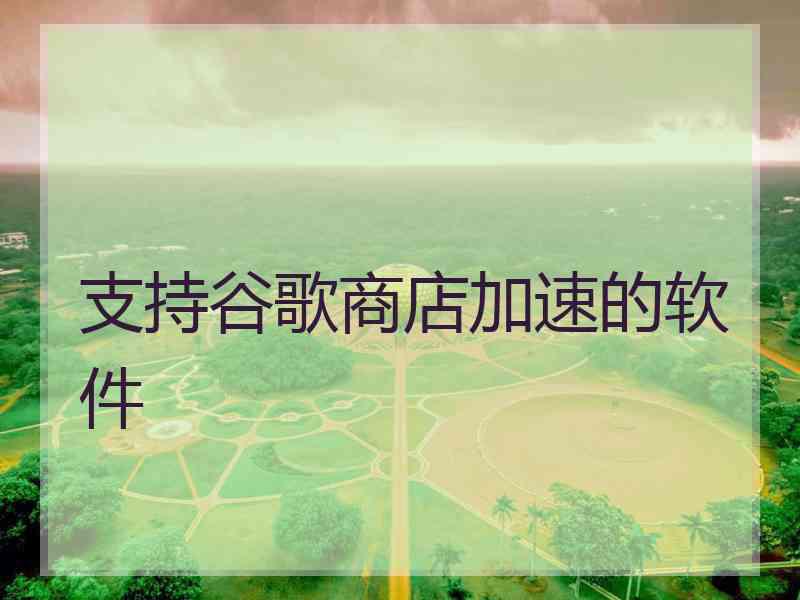 支持谷歌商店加速的软件