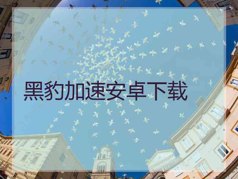 黑豹加速安卓下载