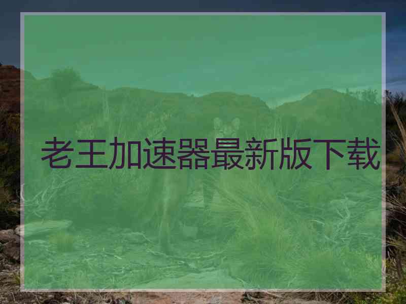 老王加速器最新版下载
