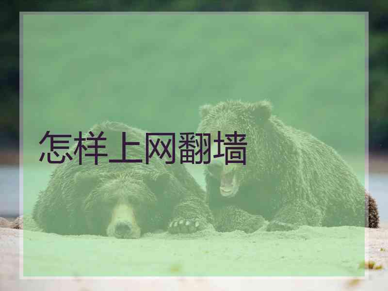 怎样上网翻墙
