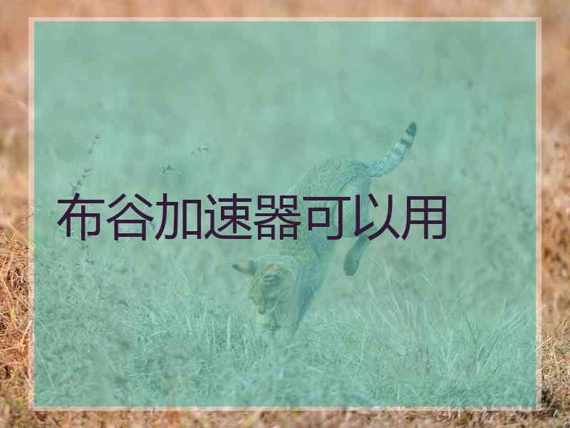 布谷加速器可以用