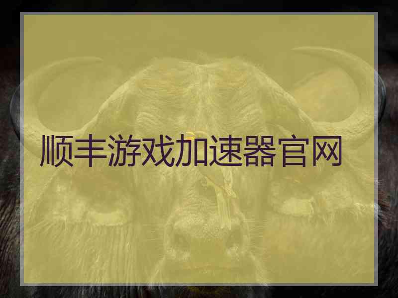 顺丰游戏加速器官网