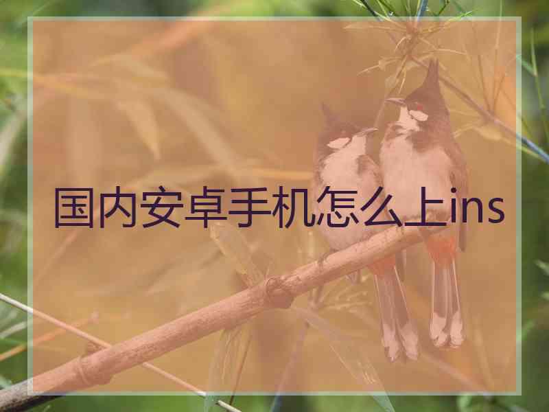 国内安卓手机怎么上ins