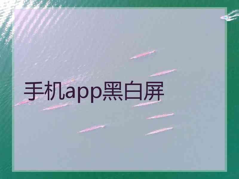 手机app黑白屏