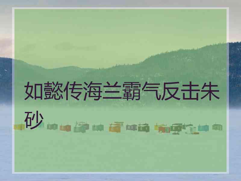如懿传海兰霸气反击朱砂