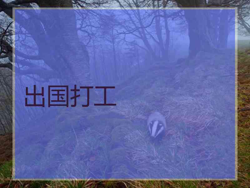 出国打工