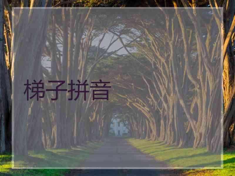 梯子拼音