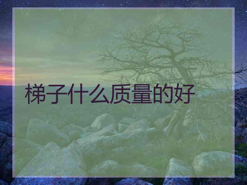 梯子什么质量的好
