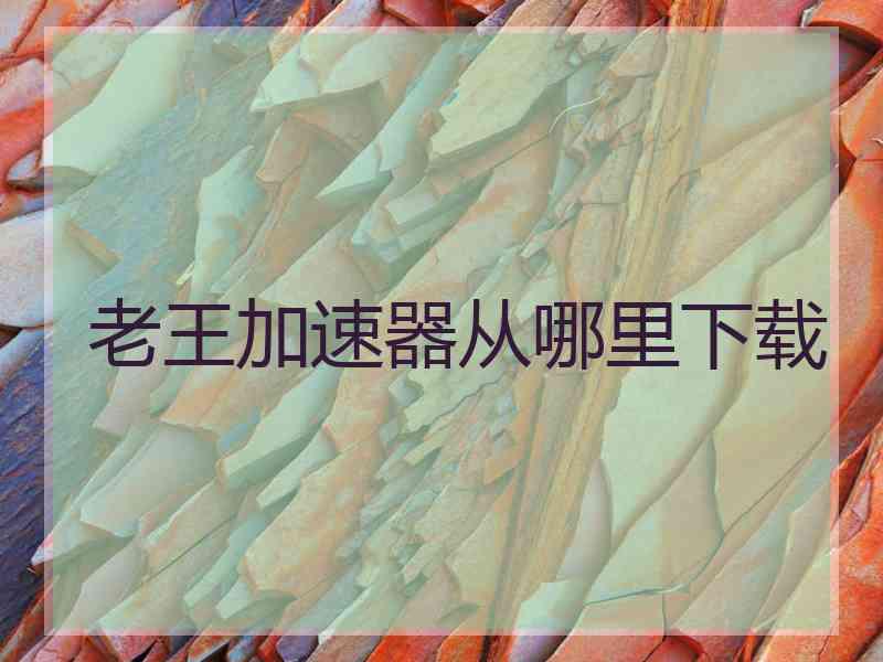 老王加速器从哪里下载