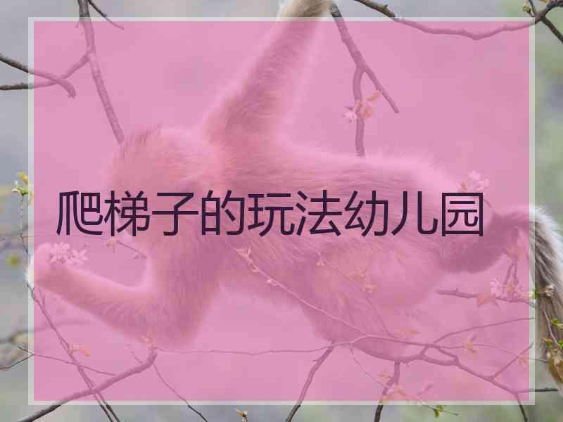 爬梯子的玩法幼儿园